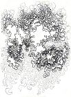 Brooke Mullins Doherty, "Circuitous Path 6"