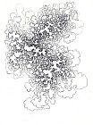 Brooke Mullins Doherty, "Rhythmic Succession 1"