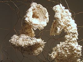 Brooke Mullins Doherty, "Accession"