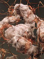 Brooke Mullins Doherty, "Nexus (Gray)"