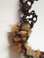 Brooke Mullins Doherty, "Progression"