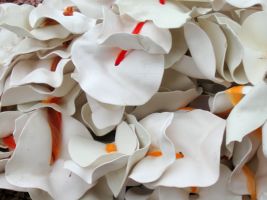 Brooke Mullins Doherty, "Corpus" detail