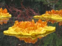 Brooke Mullins Doherty, "Nexus (Rhizomes)"