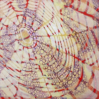 Brooke Mullins Doherty, "Red Web"
