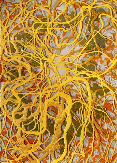 Brooke Mullins Doherty, "Gold Cosmos 2"
