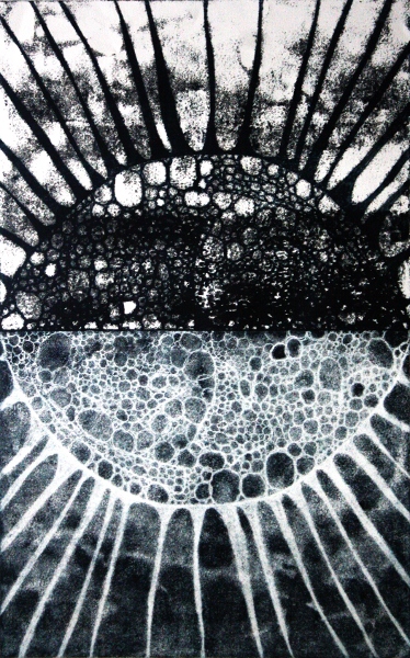 Brooke Mullins Doherty, "Biorhythms V 14 (Full Beaver Moon)"