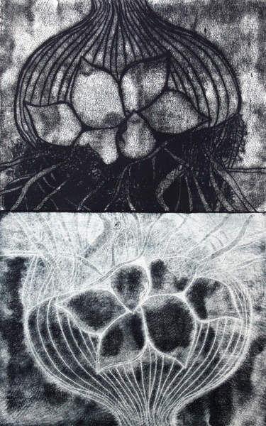 Brooke Mullins Doherty, "Biorhythms V 24 (Warm Little Corm)"