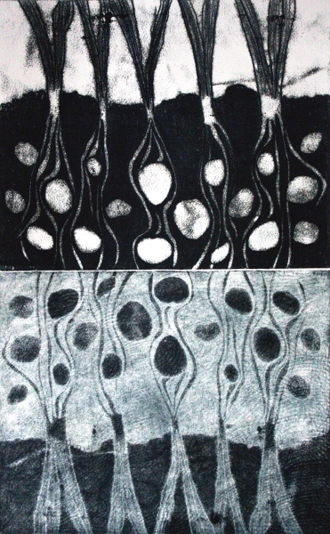 Brooke Mullins Doherty, "Biorhythms V 35 (Shoots)"