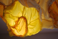 Brooke Mullins Doherty, "Yellow Billow I"