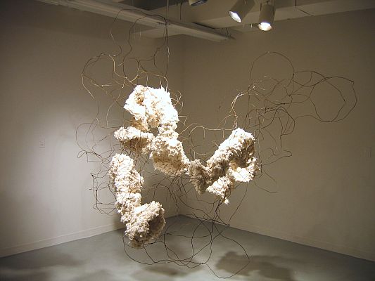 Brooke Mullins Doherty, "Accession"