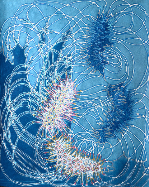 Brooke Mullins Doherty, "Snakeroot Transmission 10"