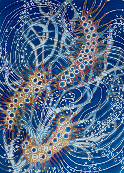Brooke Mullins Doherty, "Snakeroot Transmission 19""