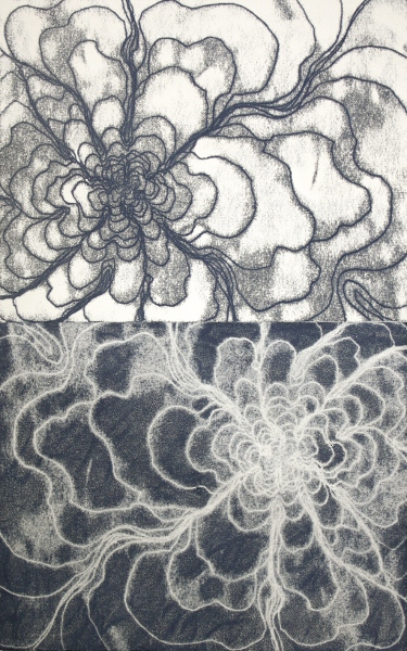 Brooke Mullins Doherty, "Biorhythyms II, 16 (Beaver Moon, Waning)"