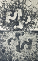 Brooke Mullins Doherty, "Biorhythms II, 32 (Worm Moon, Waning)"