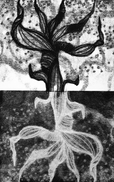 Brooke Mullins Doherty, "Biorhythms III (Infancy) 21"