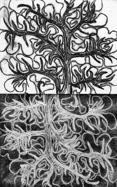 Brooke Mullins Doherty, "Biorhythms III (Infancy) 9"