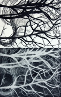 Brooke Mullins Doherty, "Biorhythms IV 1 (Family of Trees)"
