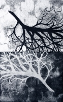 Brooke Mullins Doherty, "Biorhythms IV 12 (A Good Branch to Carry)"