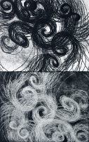 Brooke Mullins Doherty, "Biorhythms IV 9 (All Those Curls)"
