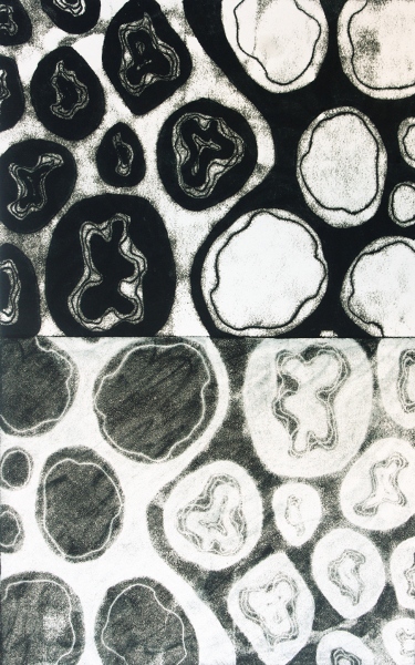 Brooke Mullins Doherty, "Biorhythms V 6 (Fill and Empty)"